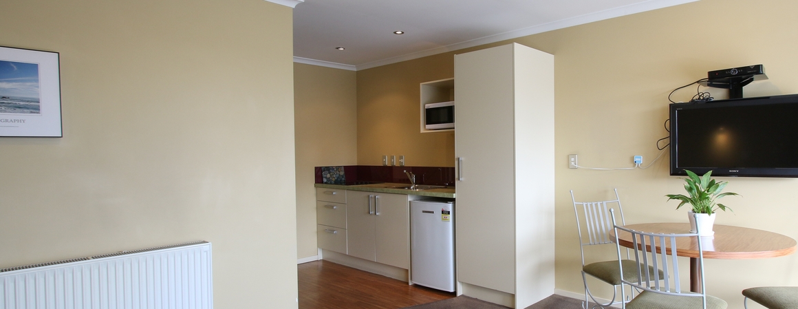 spacious and comfortable 1-Bedroom unit
